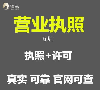 龍崗區(qū)企業(yè)財(cái)稅管家 布吉、坂田、南灣、橫崗專業(yè)代理記賬報(bào)稅與公司注冊(cè)代辦服務(wù)指南